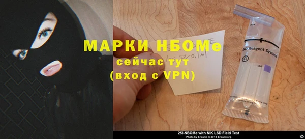 прущие грибы Аркадак