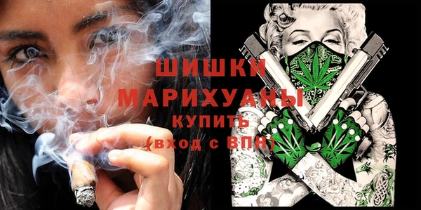 прущие грибы Аркадак