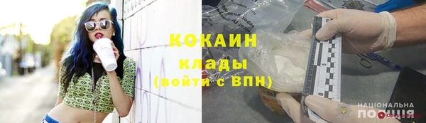 прущие грибы Аркадак