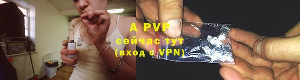 ALPHA PVP Гатчина