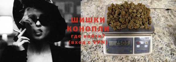 прущие грибы Аркадак